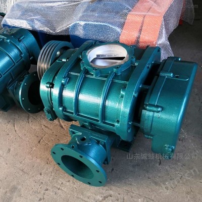 CGSR气体压缩机械制造 技术驱动与市场展望